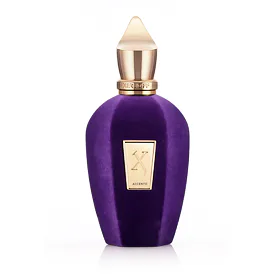 Xerjoff V Collection Accento Eau de Parfum 100 ml ТЕСТЕР