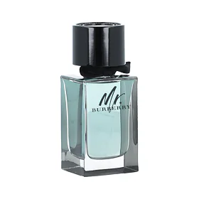 Burberry Mr. Burberry Eau de Toilette за мъже 100 ml