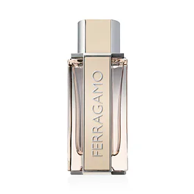Ferragamo Ferragamo Bright Leather Eau de Toilette за мъже 100 ml