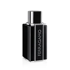 Ferragamo Sublime Leather Eau de Parfum за мъже 100 ml
