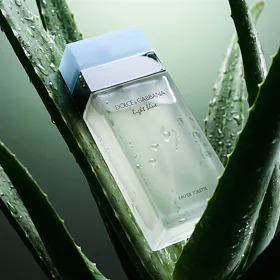 Dolce&Gabbana Light Blue Eau de Toilette за жени 100 ml