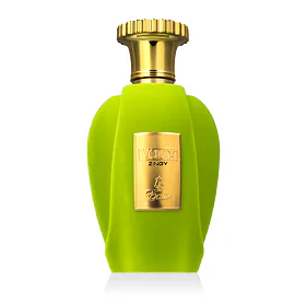 Emir Voux Zingy Eau de Parfum 100 ml
